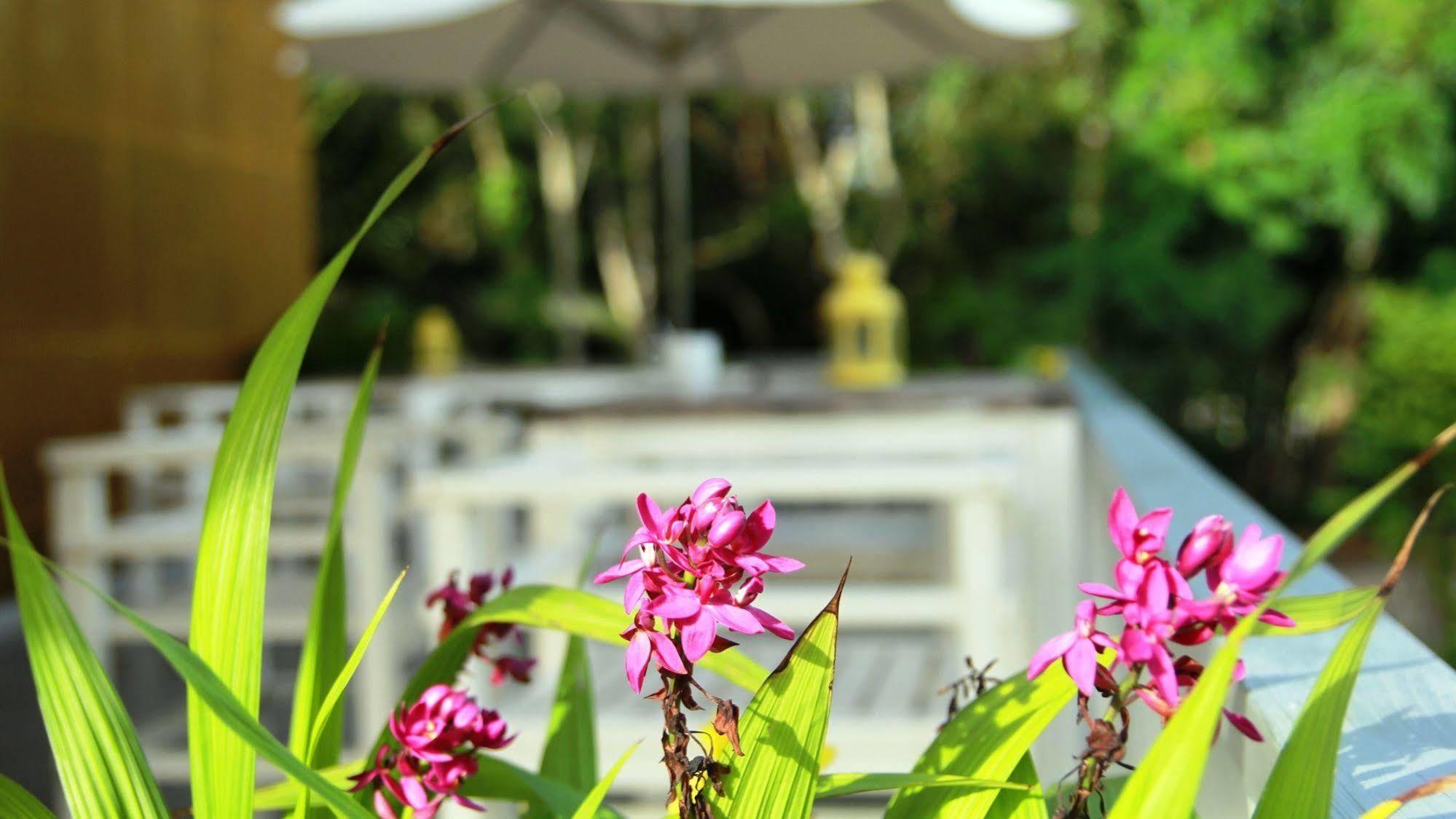 Emis Hotel Phu Quoc Exteriér fotografie